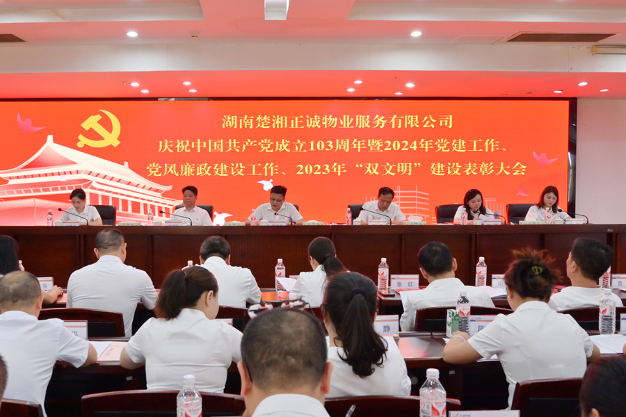 黨建引領(lǐng)風(fēng)帆勁  砥礪前行闊步走